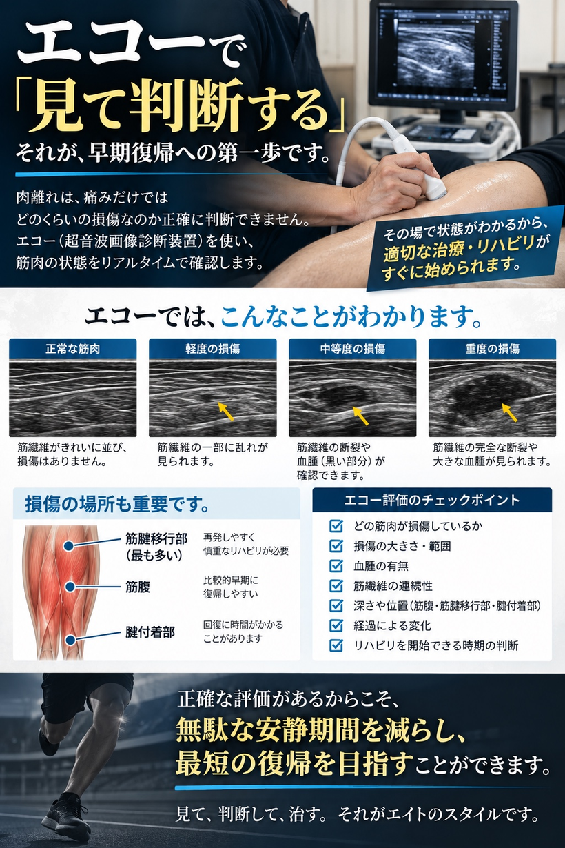 エコーで肉離れの状態を評価
